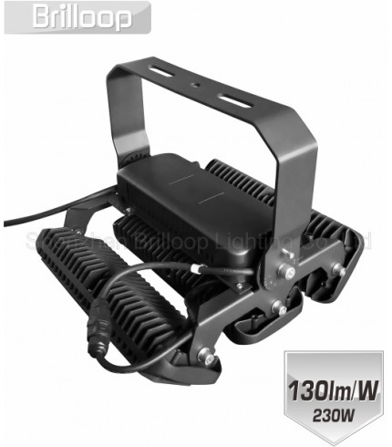 M17: 230W Modular Floodlight